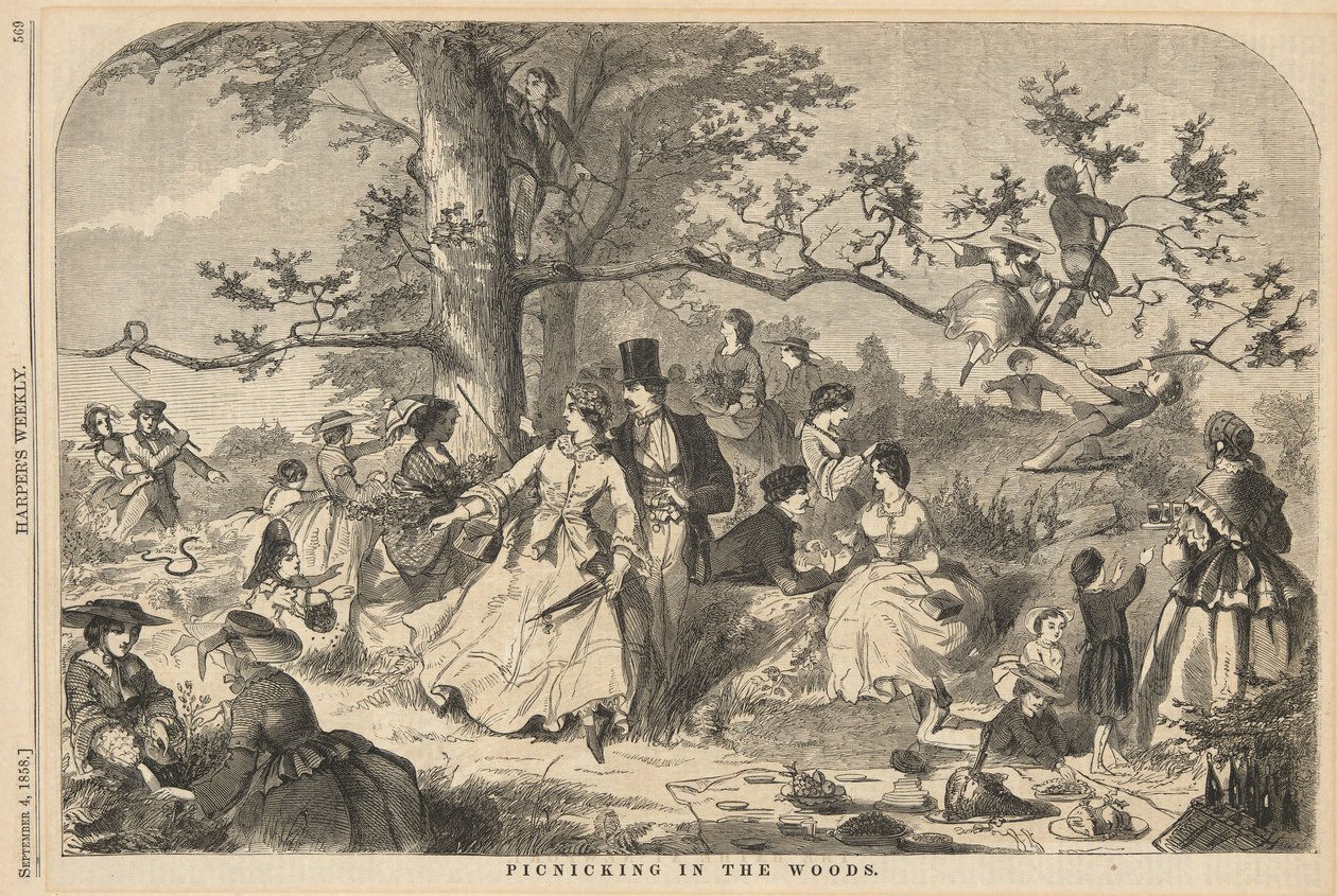 Picnicking in the Woods, from Harper by Winslow Homer