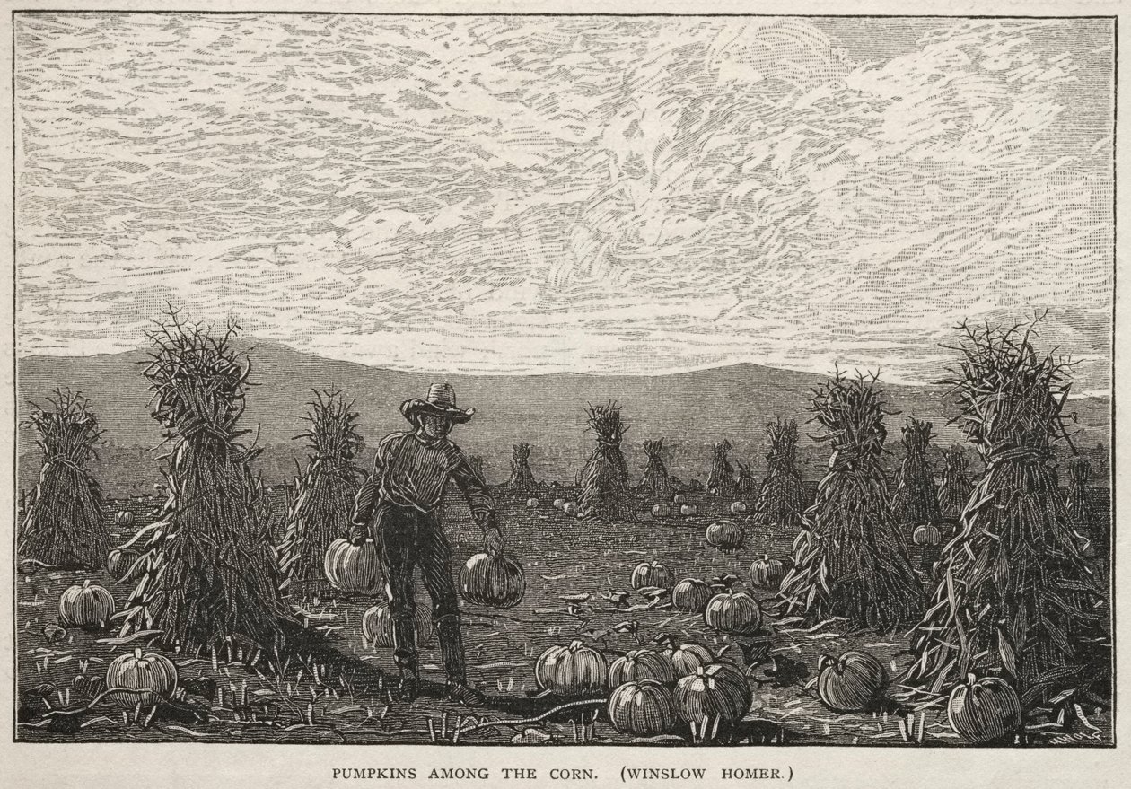 Pumpkins Among the Corn by Winslow Homer