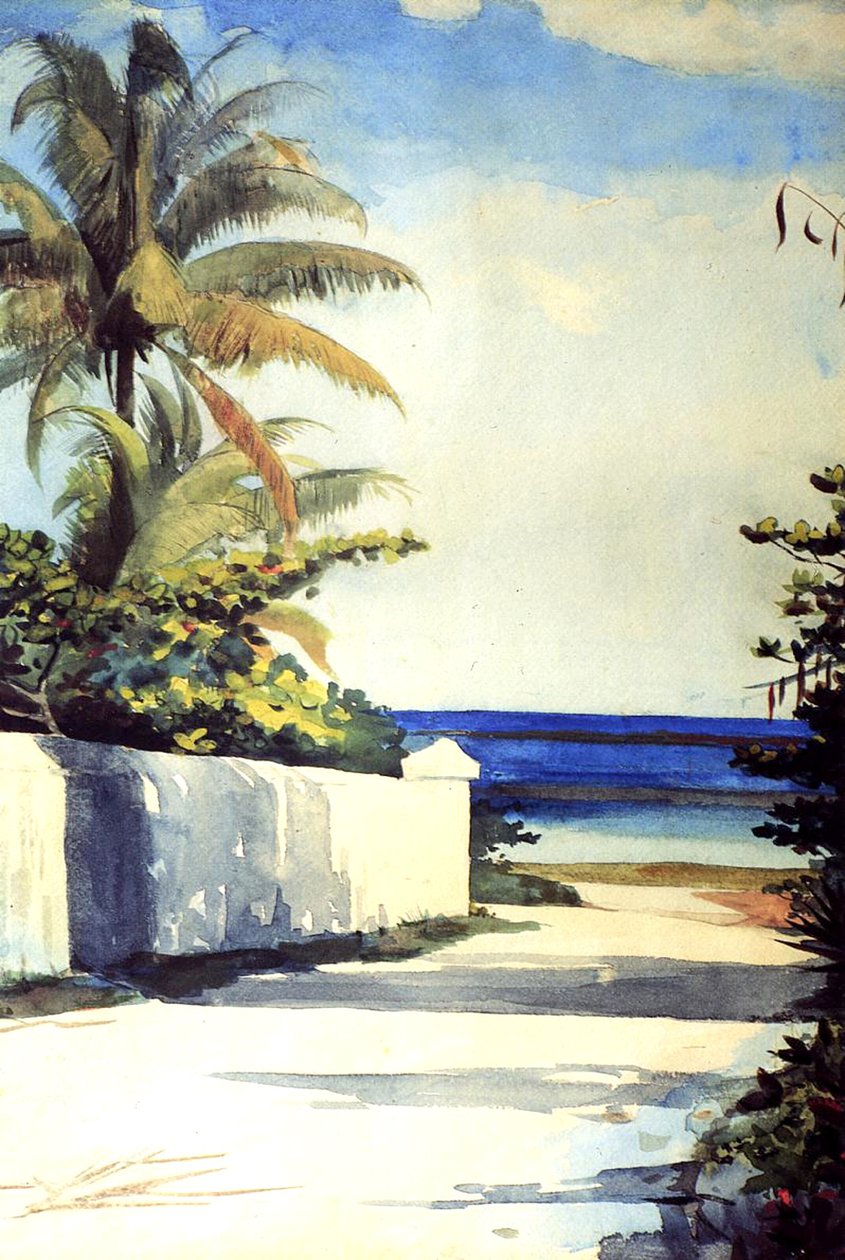 Road in Nassau, 1898-99 by Winslow Homer