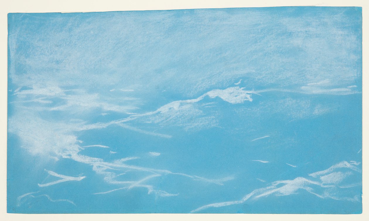 Seagull and Waves by Winslow Homer