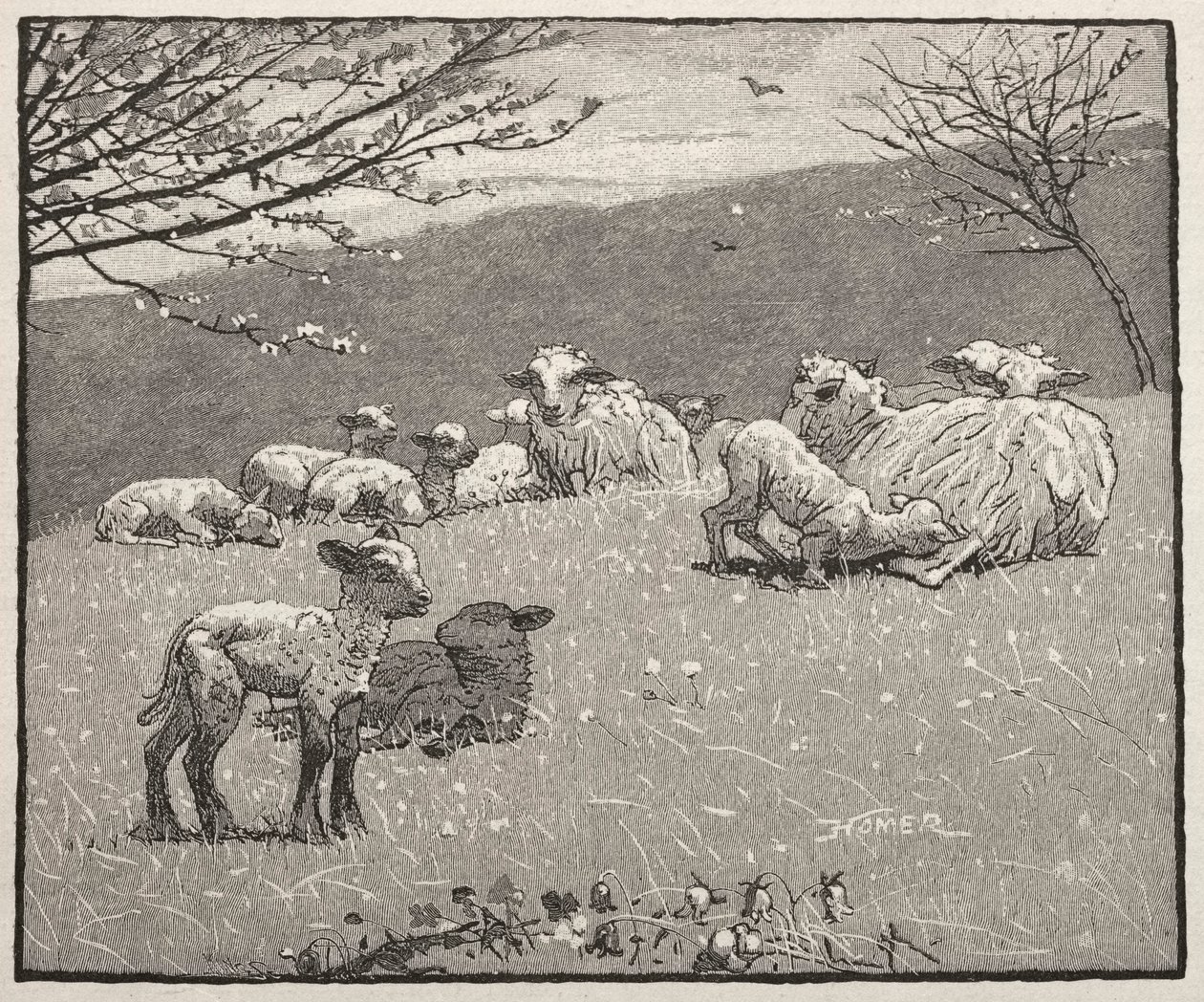 Spring Lamb, 1880 by Winslow Homer