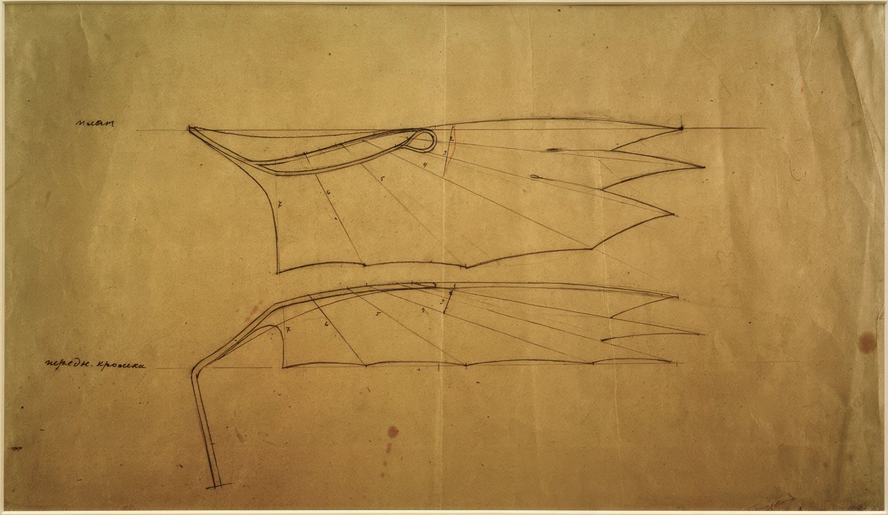 Wing of the Letatlin by Wladimir F. Tatlin