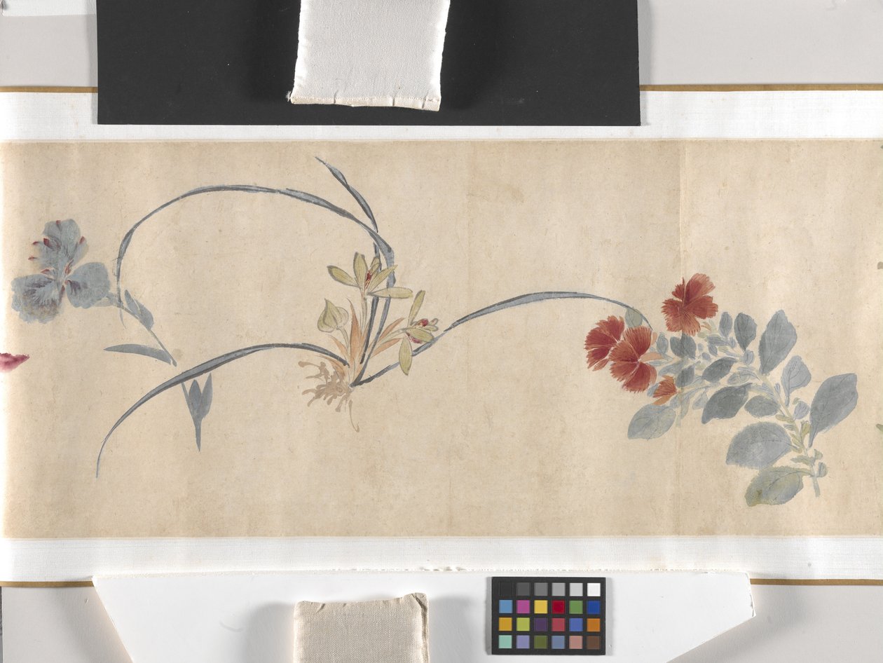 Coloured Flowers by Zhimian Zhou