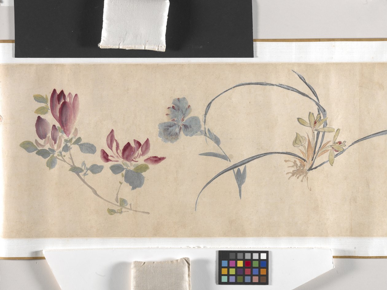Coloured Flowers by Zhimian Zhou