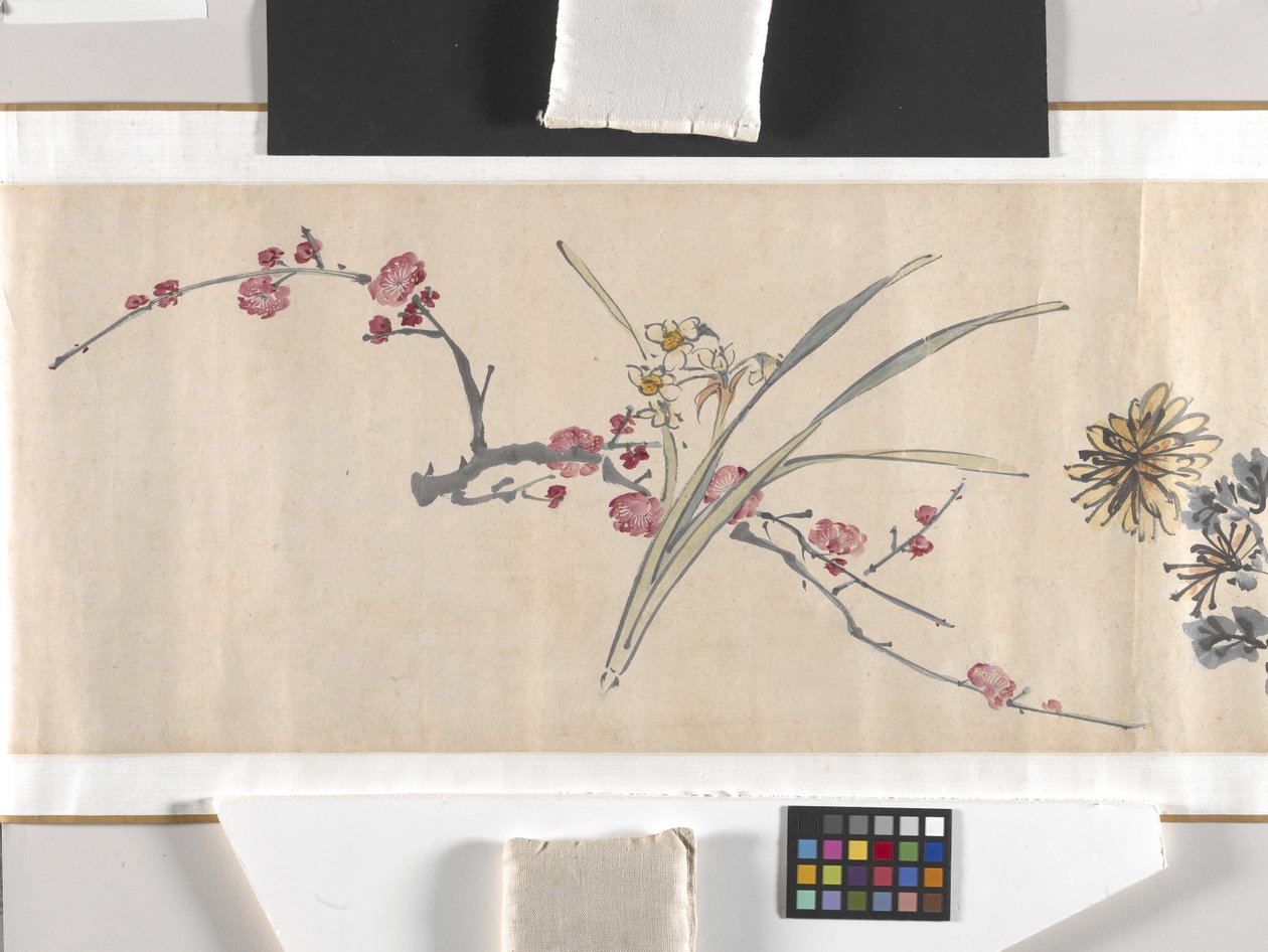 Coloured Flowers by Zhimian Zhou