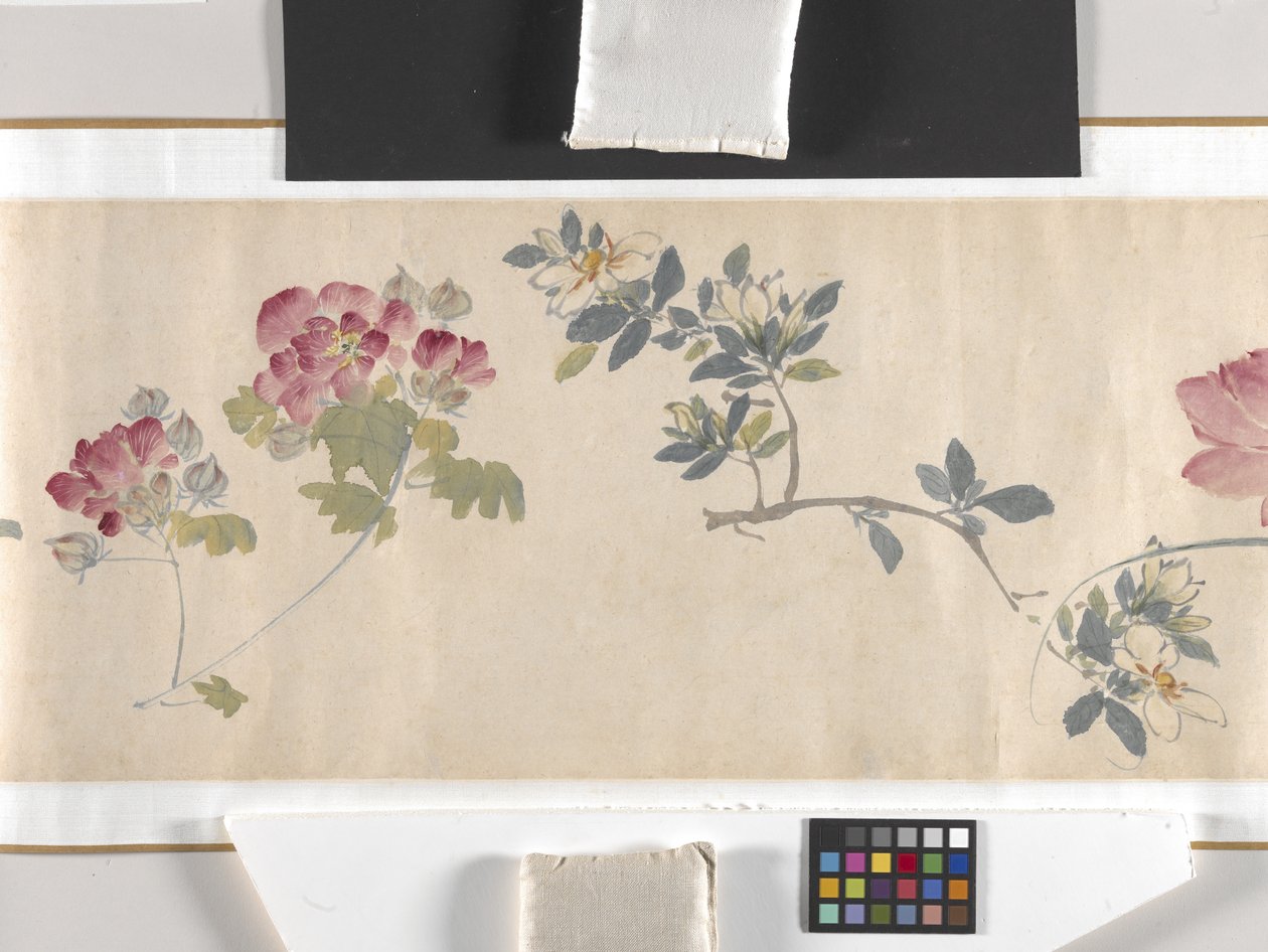Coloured Flowers by Zhimian Zhou