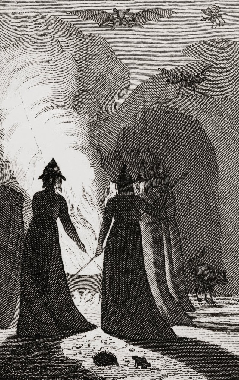 A Coven of Witches around a Cauldron by . .