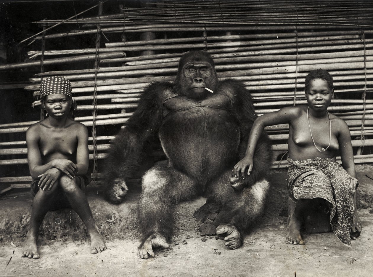 Gorilla by Hippolyte Lalaise Devéria