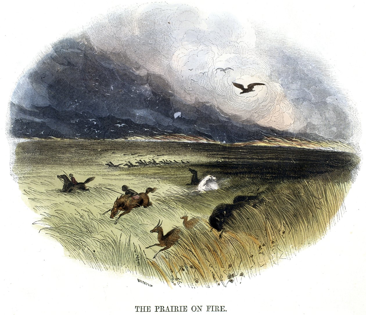 Prairie on Fire by Frederick (attr. to) Barnard
