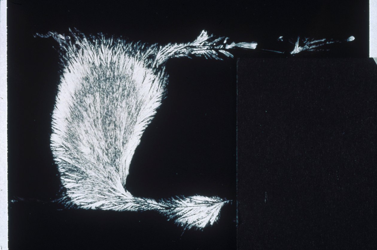 Silicates, LM Sodium Silicate by Frederick (attr. to) Barnard