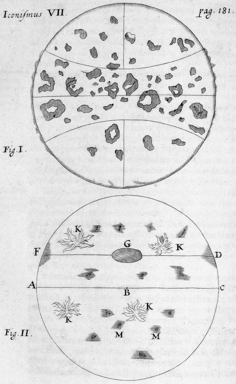 Sunspots by Frederick (attr. to) Barnard