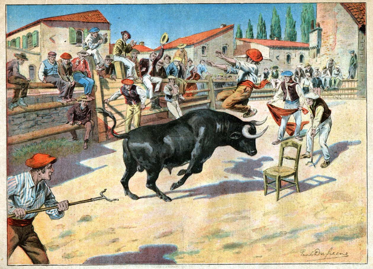 Bullfighting in Camargue by John Pardon