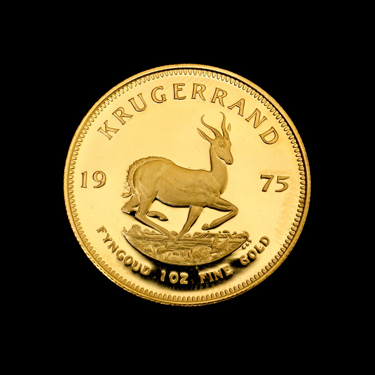 The Krugerrand - Famous South African Gold Coin by Hippolyte Lalaise Devéria