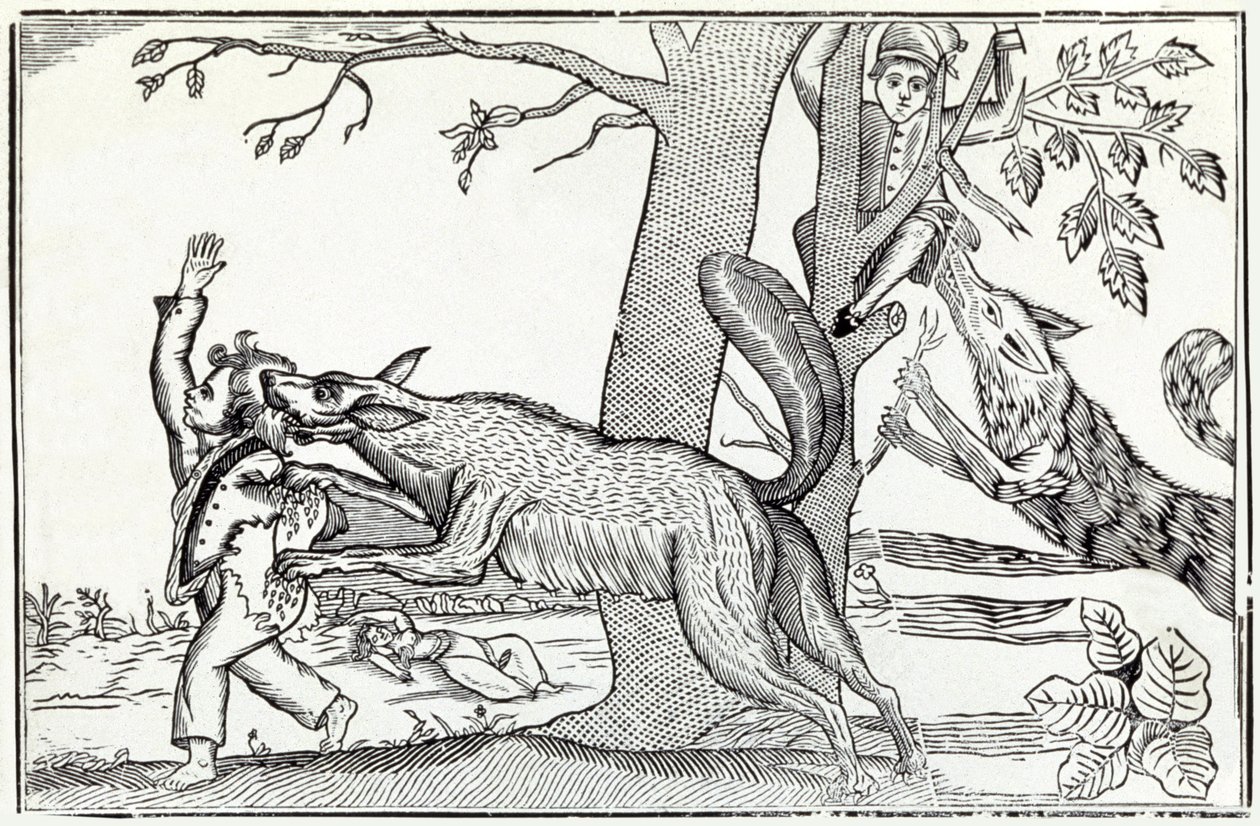 The Wolf by . .