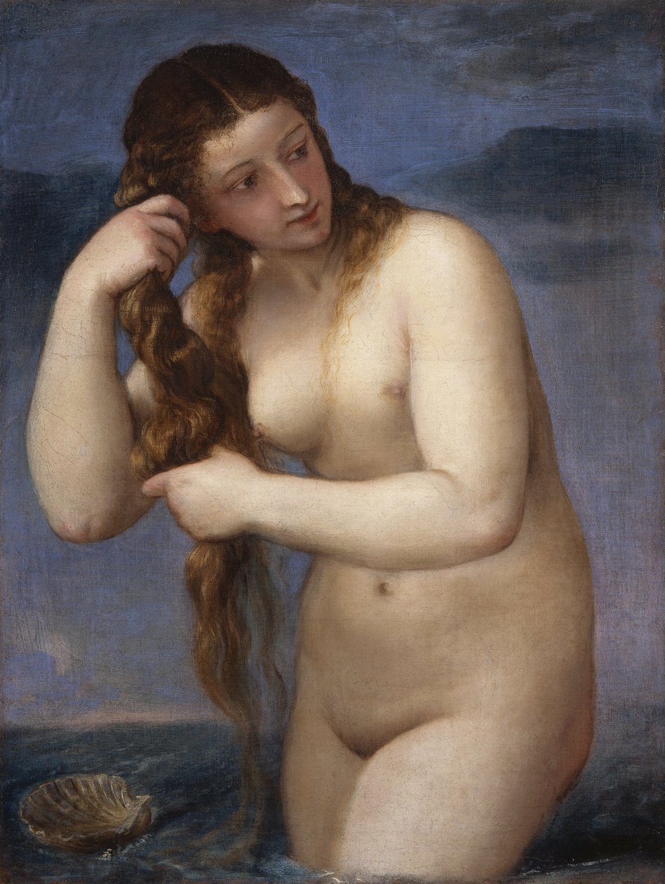 Venus Anadyomene by Tiziano Vecelli