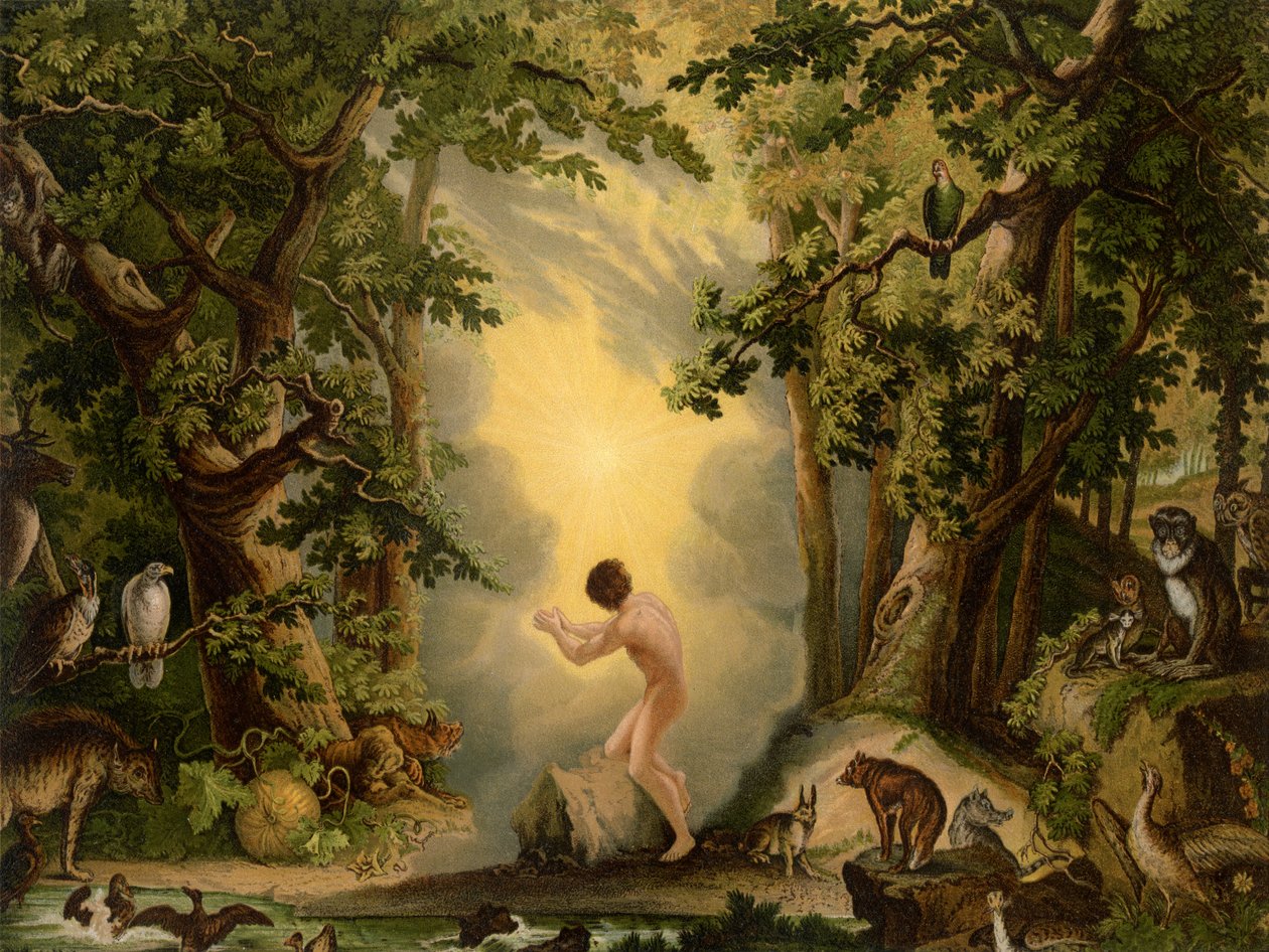 The Creation of Adam by Johann Elias Ridinger or Riedinger