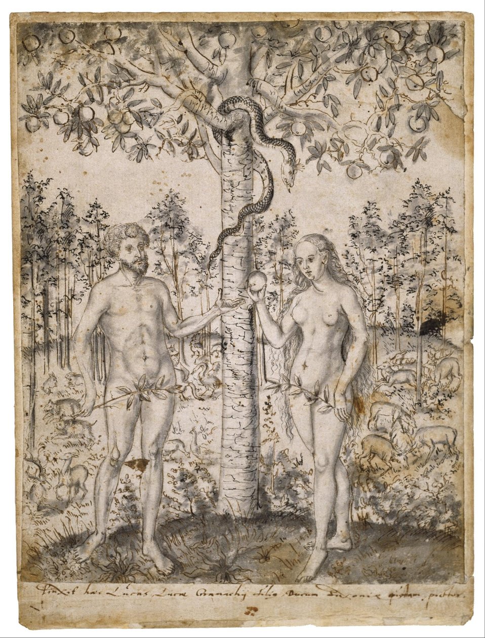The Fall of Man by after Lucas Cranach the Younger