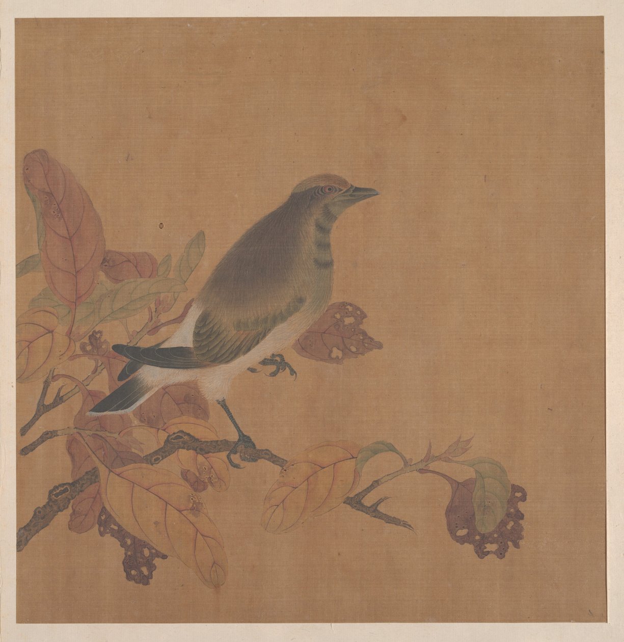 Bird on Branch by anonymous 