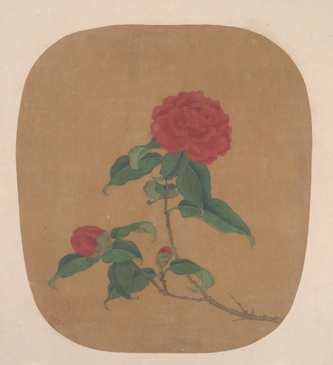 Camellia Flowers by anonymous 