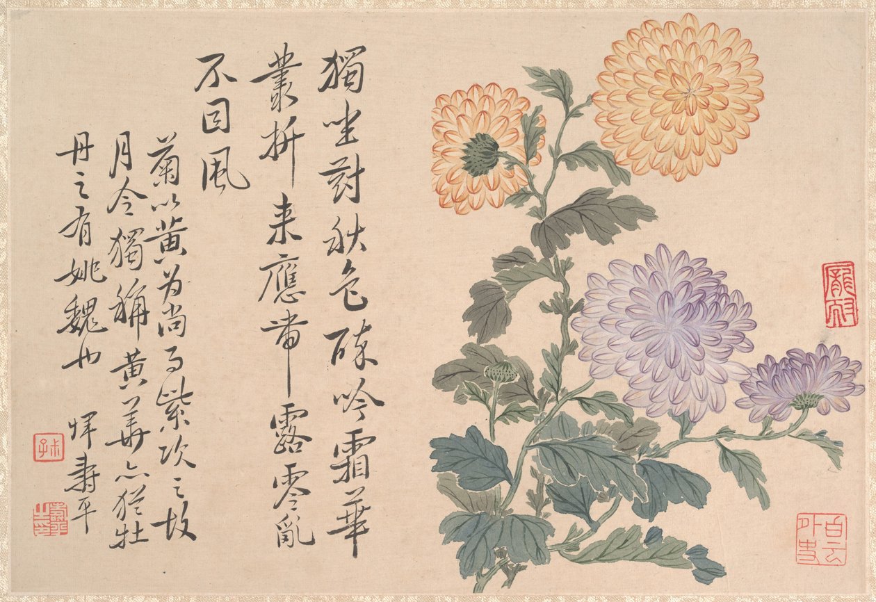 Chrysanthemums by anonymous 