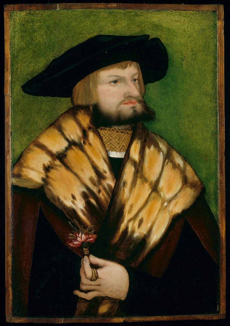 Portrait of Leonhard Fuchs by anonymous 
