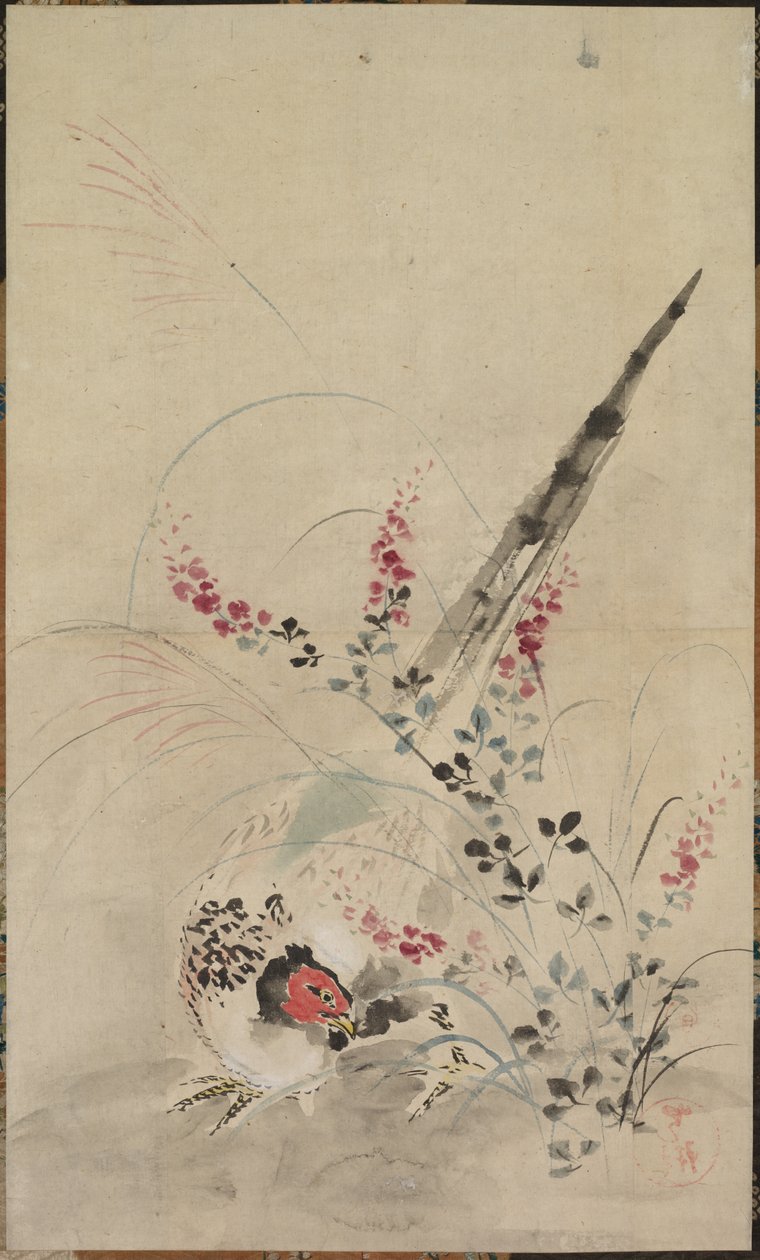 Pheasant and Grasses by attributed to Ogata Kōrin