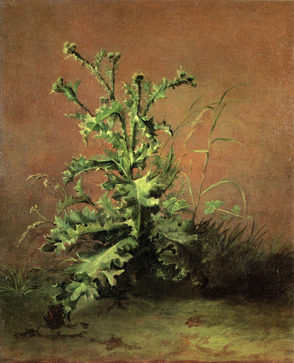 Thistles by Édouard Manet