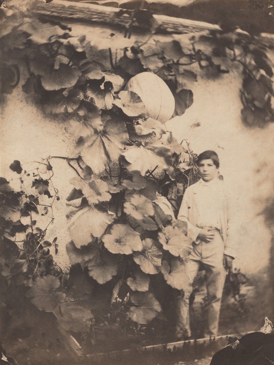 Boy with a Pumpkin Vine, 1854 by freres Varin
