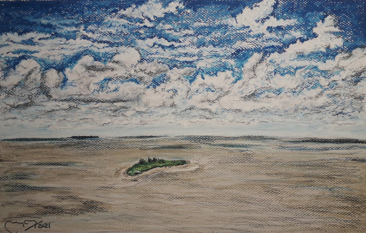 Orinoco Delta - Boca Grande by miguelmendez_art.ve