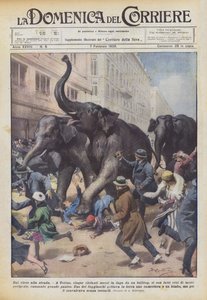From the Circus to the Street