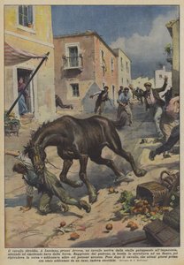 The Rabid Horse