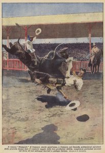 The Famous Calgary Stampede