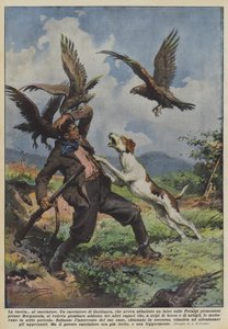 The Hunt for the Hunter