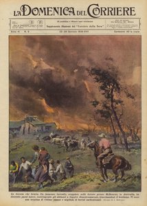 The Burning Forest