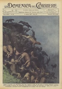 Sheep massacre