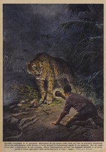 Terrible Adventure of a Fisherman