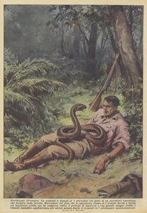 Terrifying Adventure