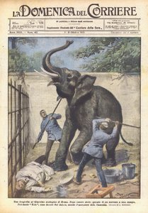 A Tragedy at the Rome Zoo