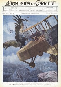 A Strange Aerial Clash