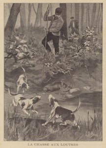Hunting Otters