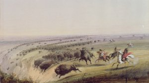 Hunting Buffalo