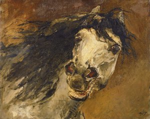 Head of a Horse