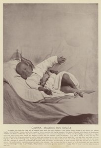 Calona, Sudanese Baby Dancer
