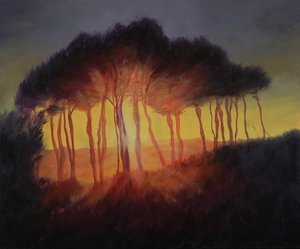 Wild Trees at Sunset