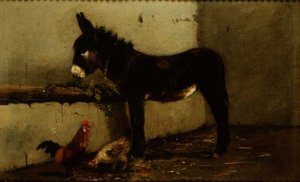 Donkey Feeding
