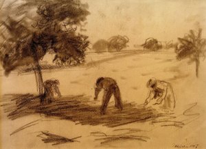 Field Work