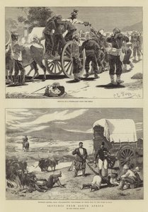 Sketches from South Africa