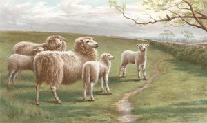 A Song of Spring