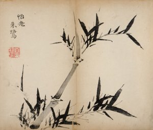 Ten Bamboo Studio Prints