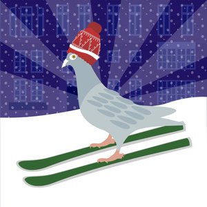 Skiing Pigeon